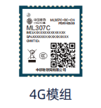 ML307C
